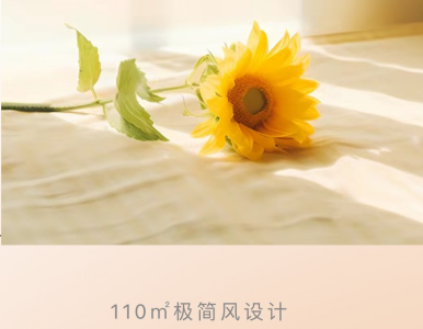  XIND  極簡風